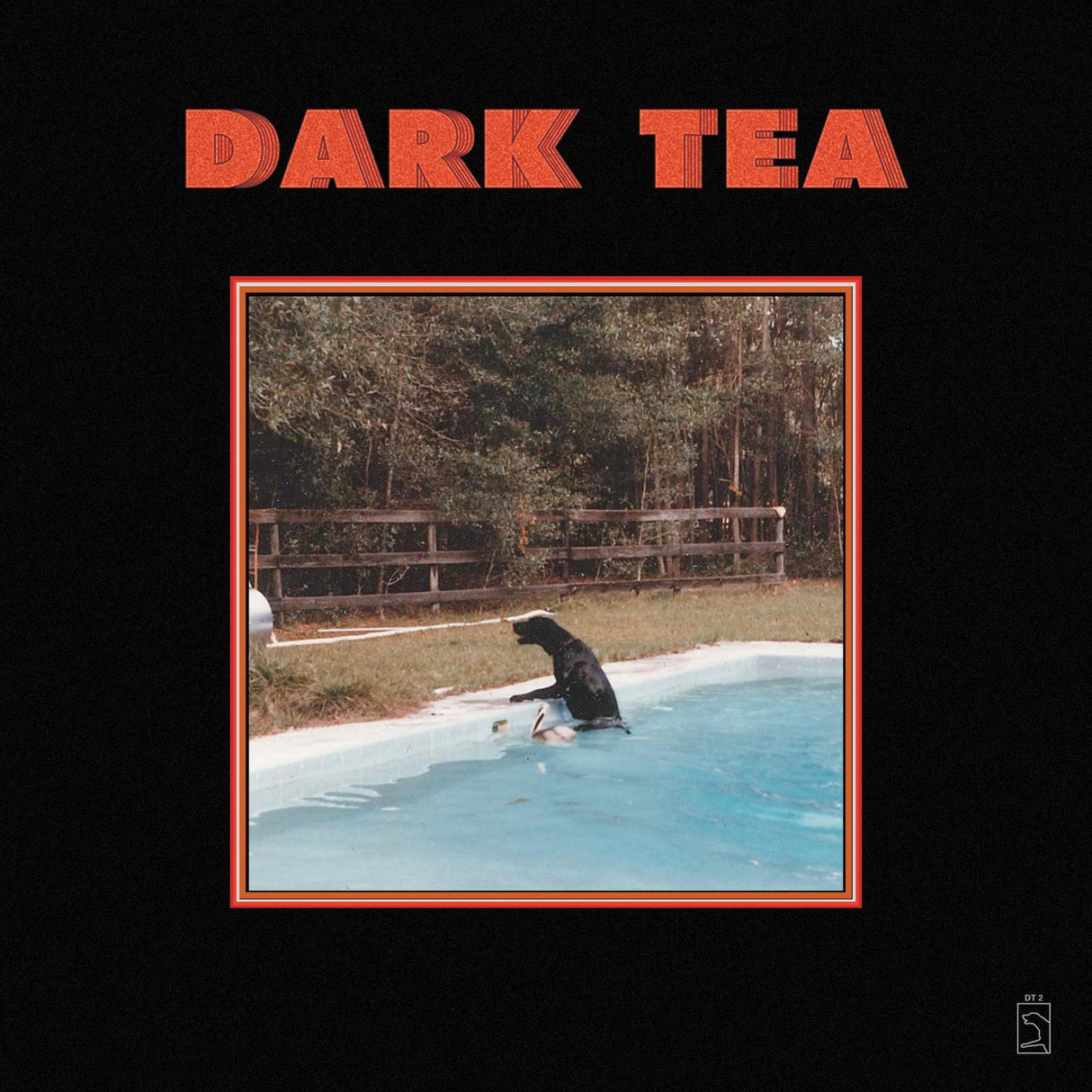 Dark Tea (Vinyl)