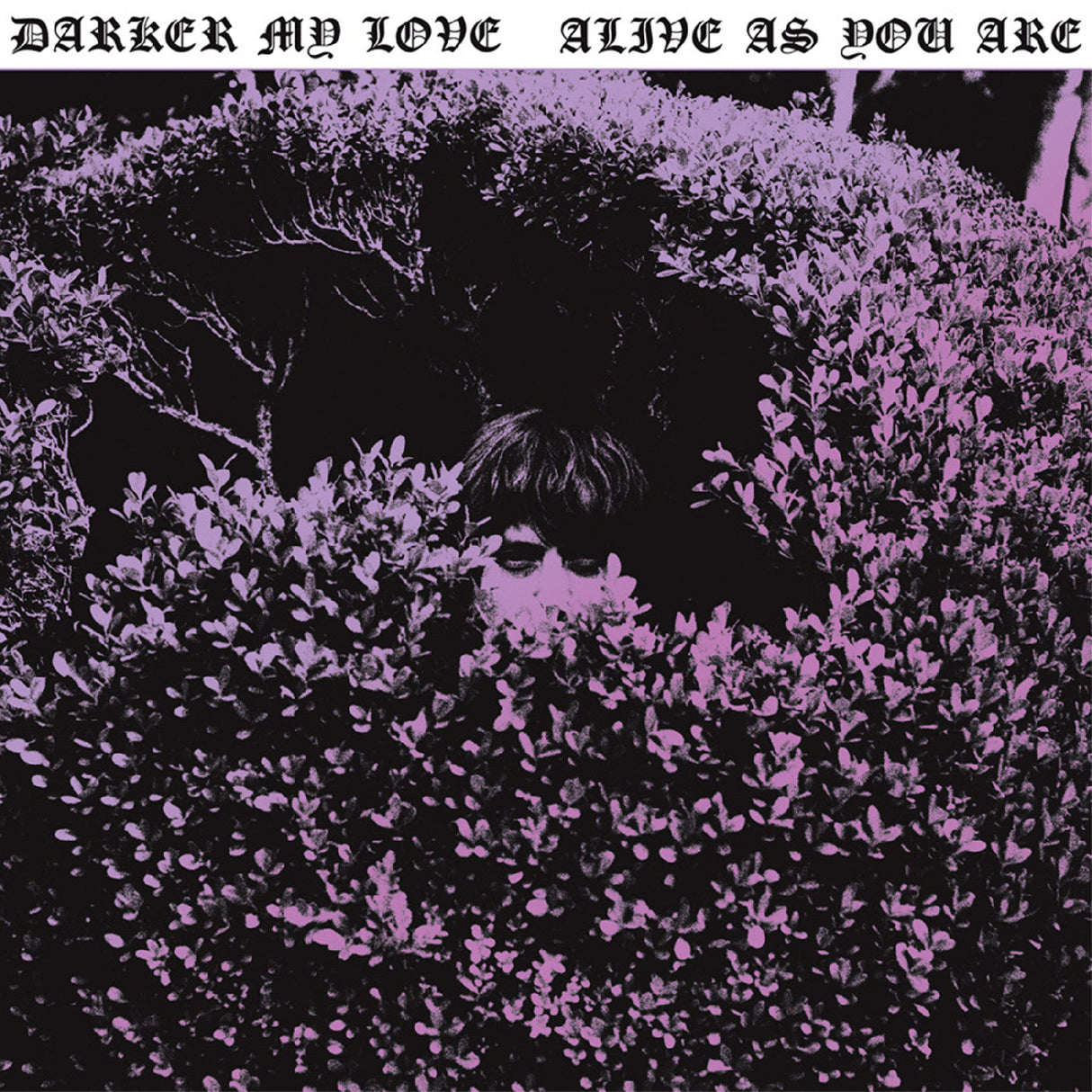 Darker My Love - Alive As You Are [Vinyl]