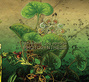 Photosynthesis (CD)