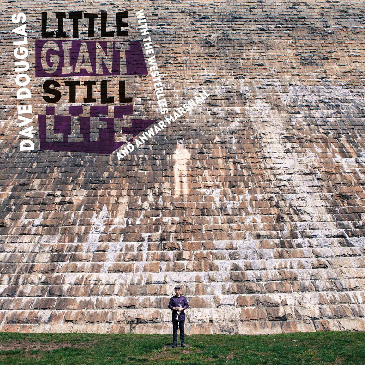 Little Giant Still Life (CD)