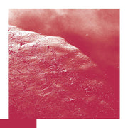 The Cell (CD)