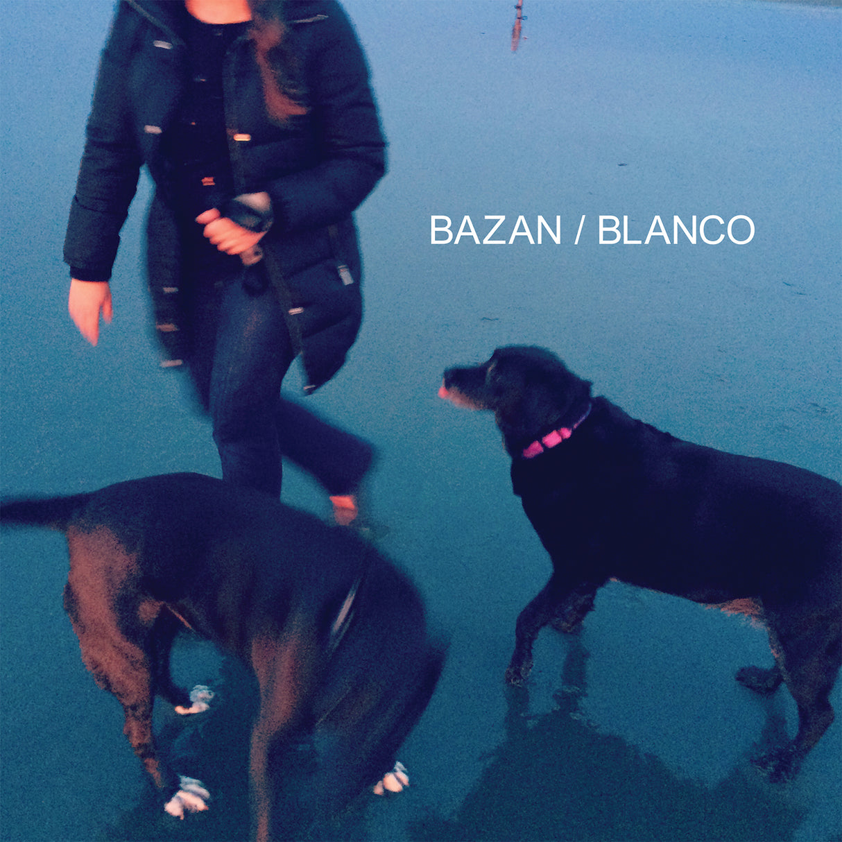 David Bazan Blanco [Cassettes musicales]