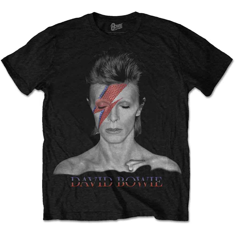 David Bowie Aladdin Sane [T-Shirt]