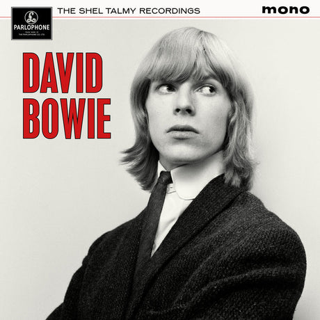 David Bowie - The Shel Talmy Recordings [Vinyl]