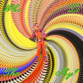 Who Is The Sky? (CD)