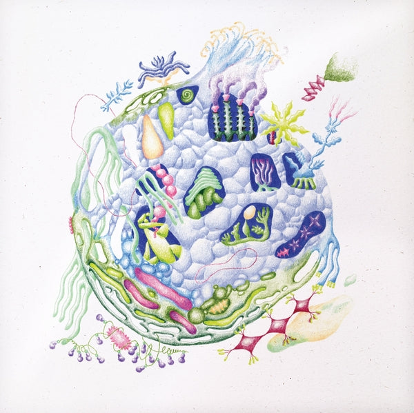 Binnenin (Vinyl)