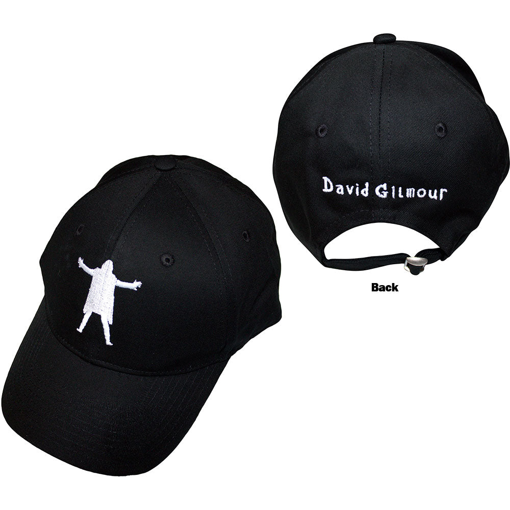 David Gilmour Luck & Strange [Hat]