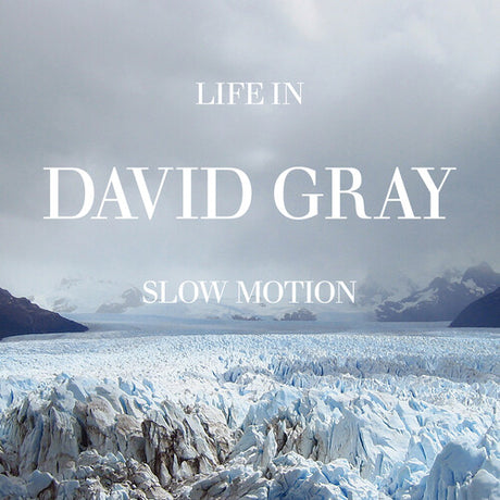 Life in Slow Motion (20th Anniversary Edition) (Limited Edition, Blue Colored Vinyl) (Vinyl)