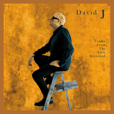 David J - Tracks From The Attic Revisited [Vinyl]