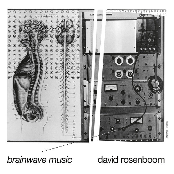 Brainwave Music (Vinyl)