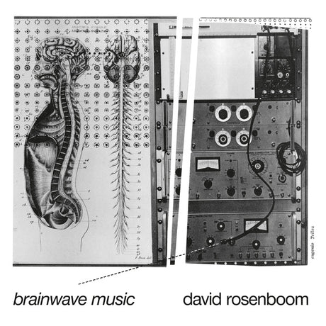 Brainwave Music (Vinyl)