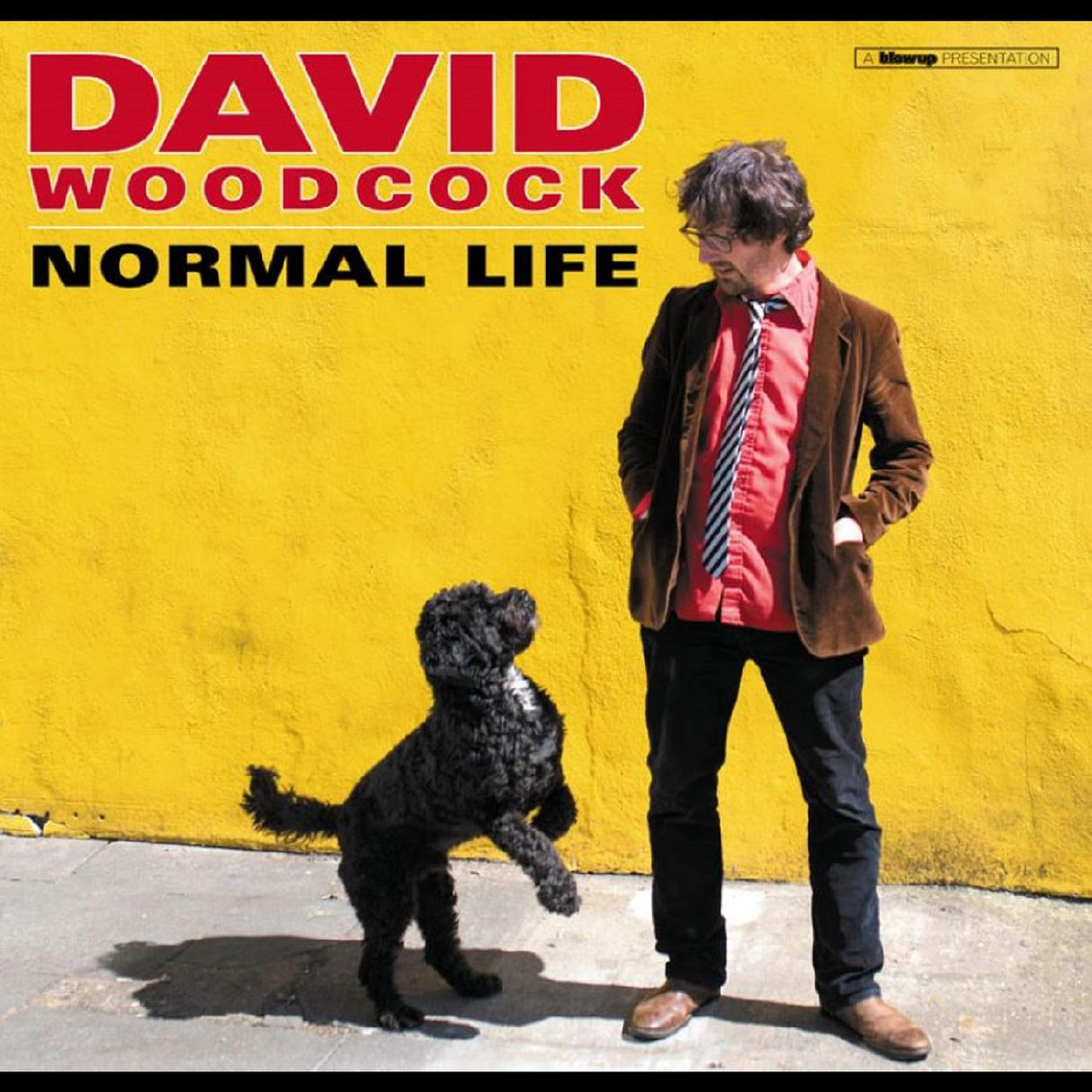 Normal Life (Vinyl) - Apocalypse Vinyl