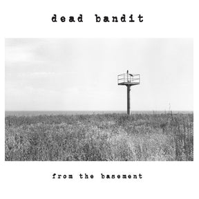 From The Basement (Vinyl) - Apocalypse Vinyl