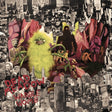 Warble Womb (Orange Vinyl) (Vinyl)