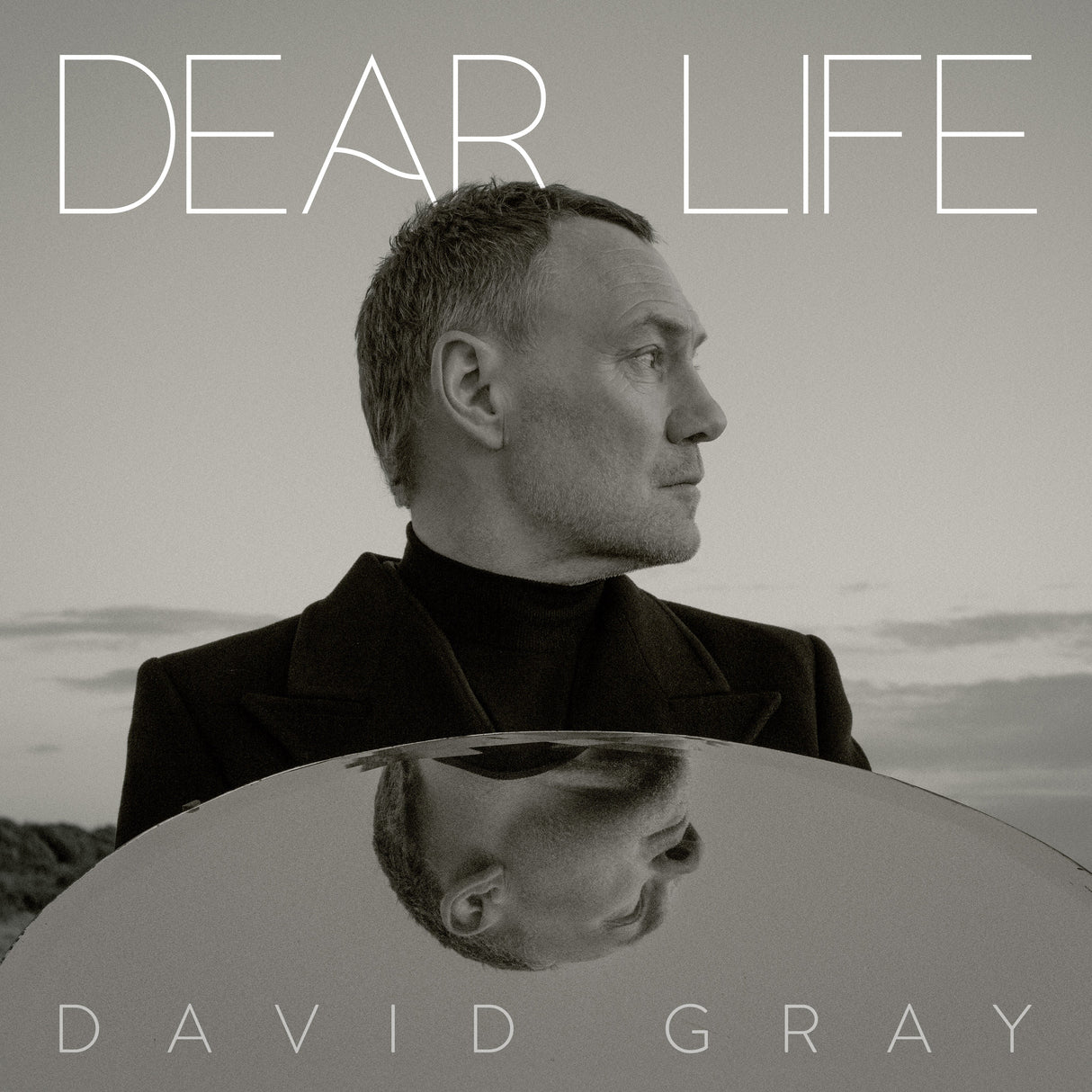 David Gray - Dear Life (2LP Seaweed Green) [Vinyl]