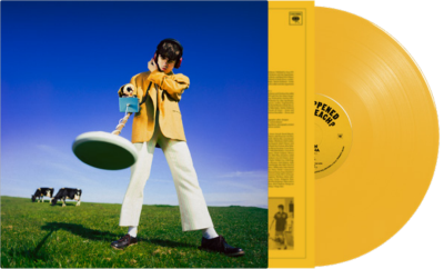 Declan McKenna ¿Qué pasó con la playa? (Vinilo amarillo) [INDIE EX] [Discos y LP]