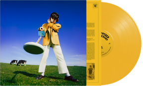 Declan McKenna What Happened to the Beach? (Yellow Vinyl) [INDIE EX] [Vinyl] - Apocalypse Vinyl