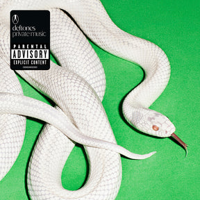Private Music (CD)