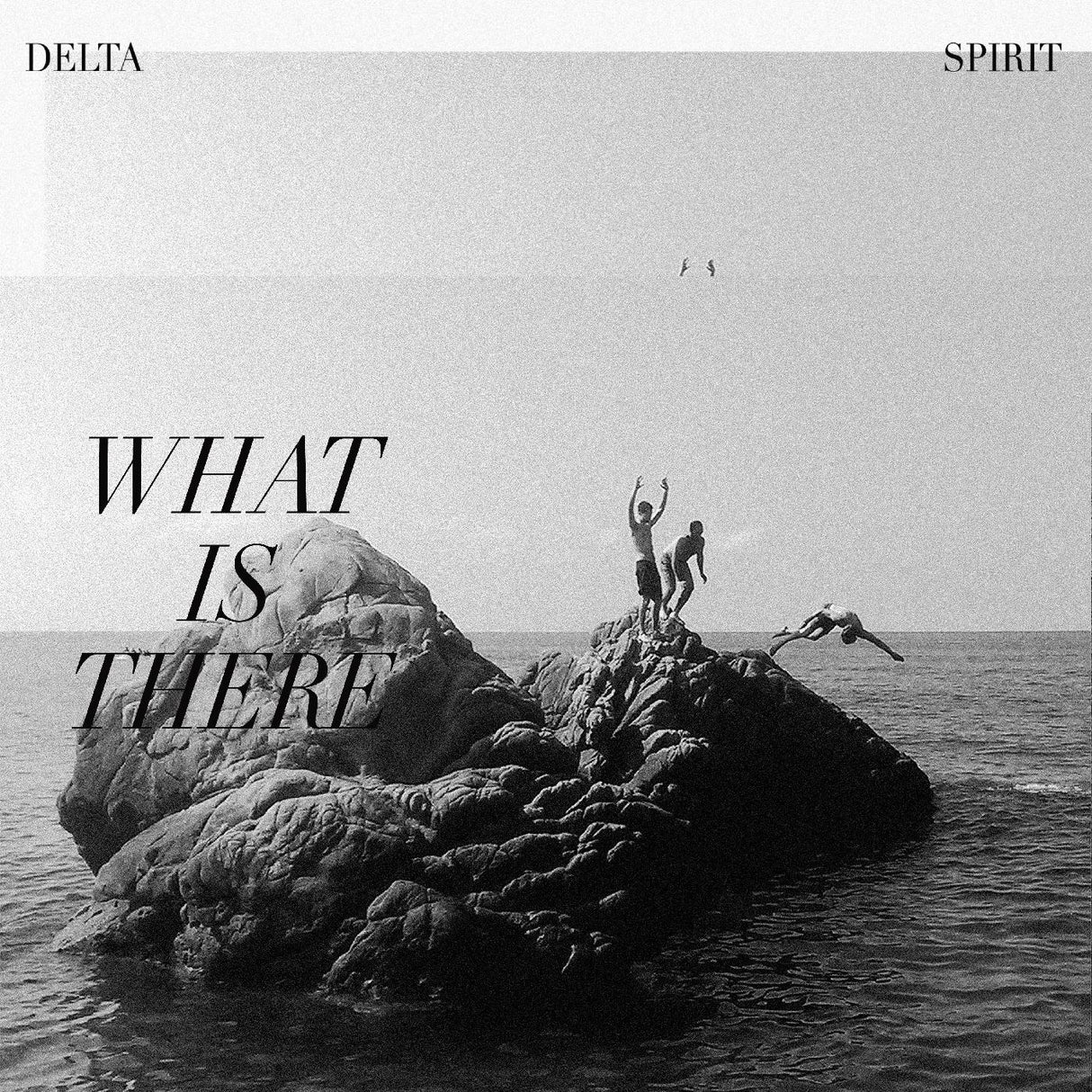 Delta Spirit ¿Qué hay allí? [Cassettes de música]