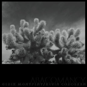 Derek Monypeny And Kevin Corcoran - Abacomancy [LP] [Vinyl]