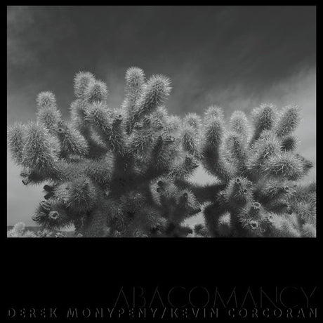 Derek Monypeny And Kevin Corcoran - Abacomancy [LP] [Vinyl]