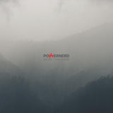 Powernerd (Indie Exclusive, Gray Colored Vinyl, Limited Edition, Booklet) (Vinyl)