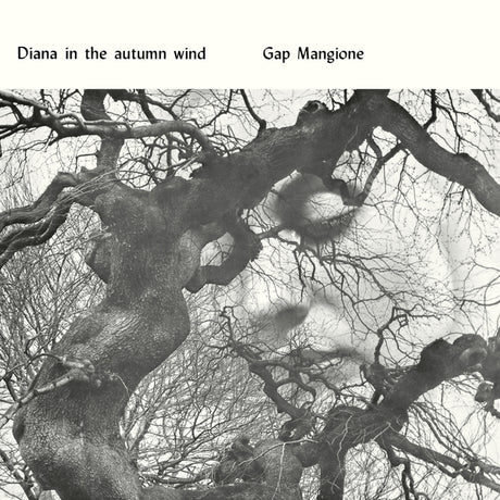Diana In The Autumn Wind [Vinyl]