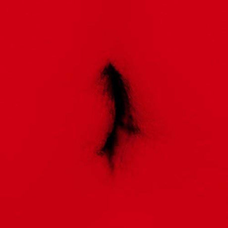 Dingwei - Untied [Vinyl]