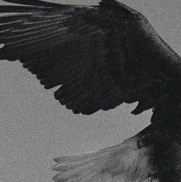 Over The Sand (Vinyl) - Apocalypse Vinyl