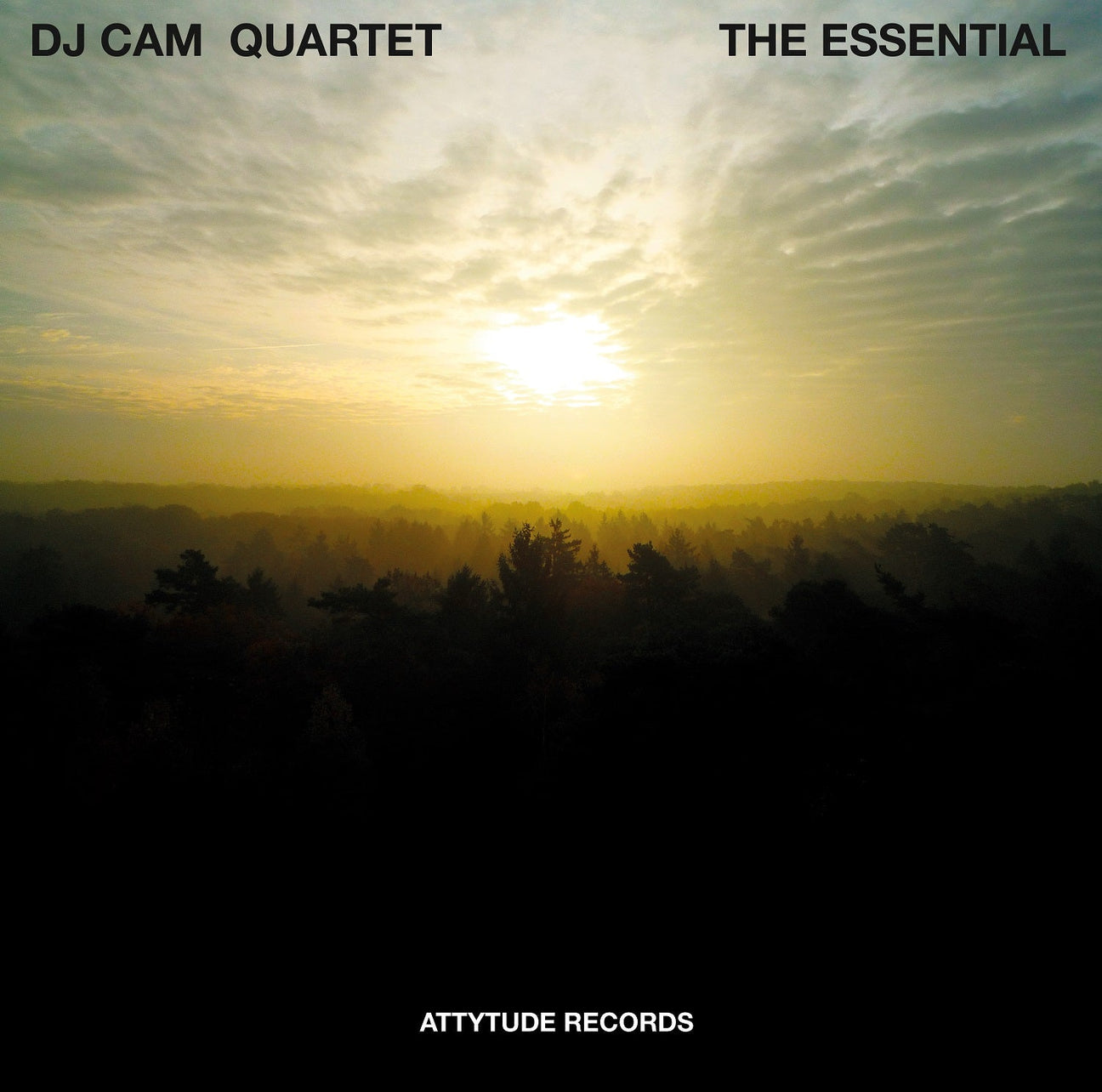 The Essential (Vinyl)