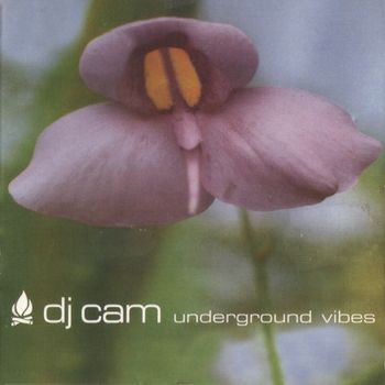 Underground Vibes (Vinyl)
