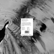 Beauty Now For The Future (Lysergically United) (Vinyl)