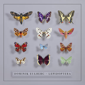 Lepidoptera (Vinyl)