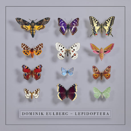 Lepidoptera (CD)