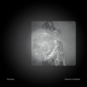 Towards An Expanse [Vinyl]