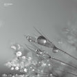 Phlox (Vinyl) - Apocalypse Vinyl