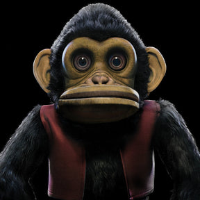 The Monkey (Lenticular Cover Housed Inside A Limited Slipcase) [Vinyl]