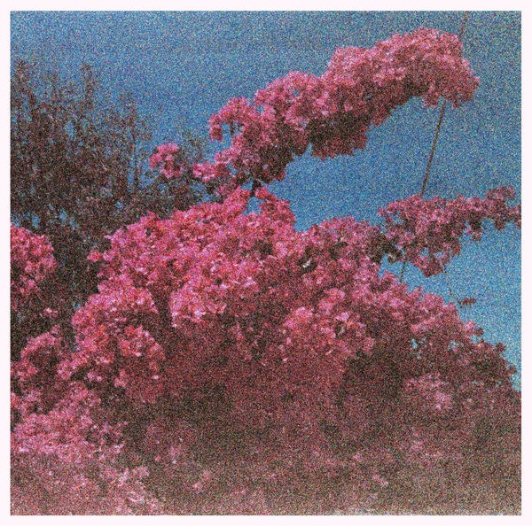 Picture a Frame (Vinyl) - Apocalypse Vinyl