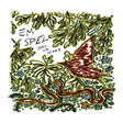 Bird Or Snake [Vinyl]