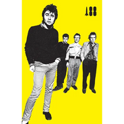 I Was a Teenage Sex Pistol