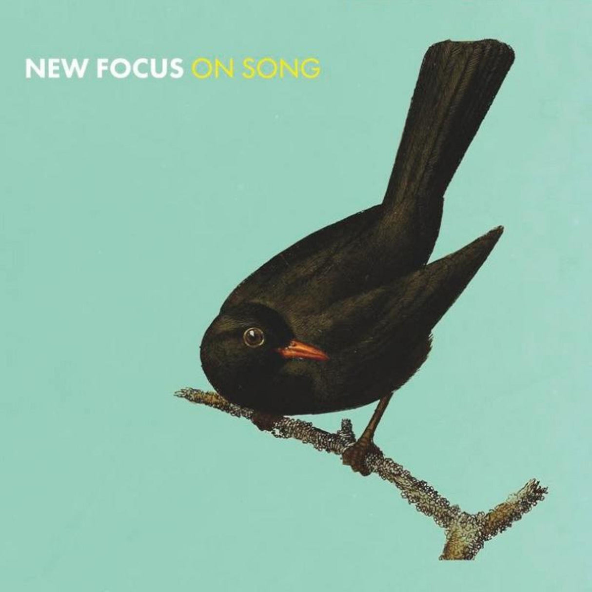 New Focus On Song (CD)