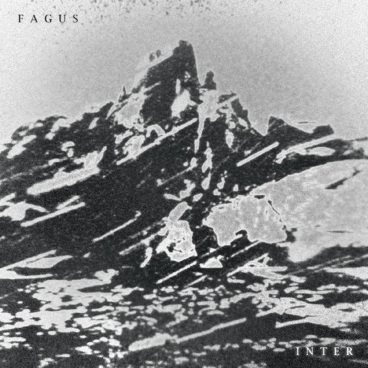 Fagus Inter [Music CDs]