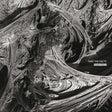 Soundtrack (Vinyl) - Apocalypse Vinyl