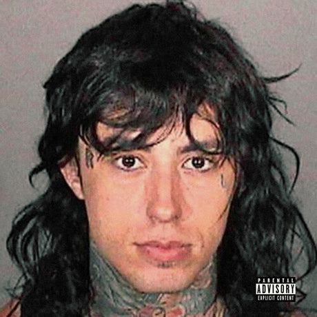 Falling In Reverse Popular Monster [Explicit Content] [Vinyl]