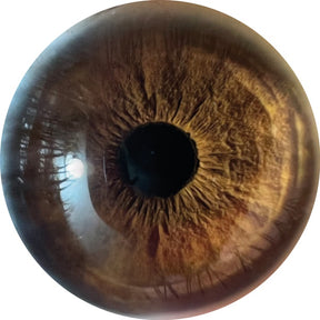 E Dee Vol. 1 (Vinyl)