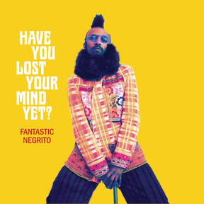 Have You Lost Your Mind Yet? (Vinyl)