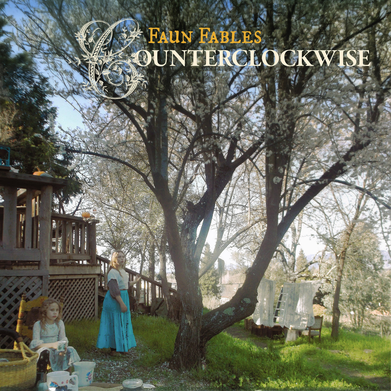 Counterclockwise (Vinyl)