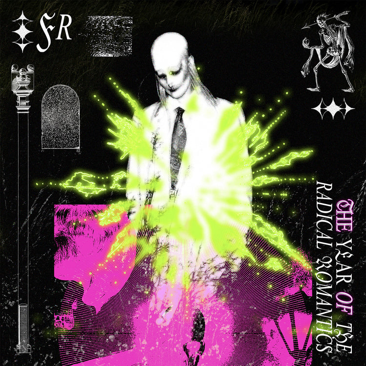 The Year Of The Radical Romantics (Limited Edition Numbered 2LP) [Indie Exclusive] [Vinyl]