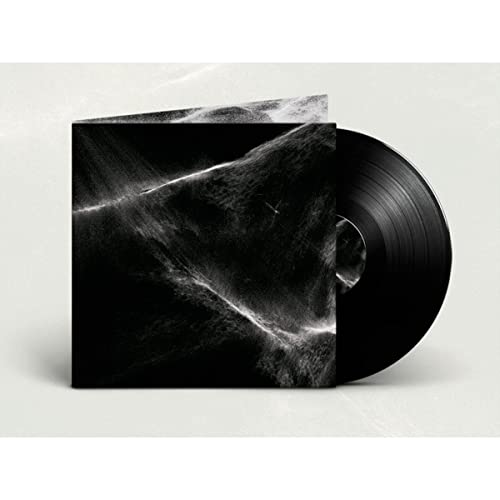 Final Light (Vinyl)
