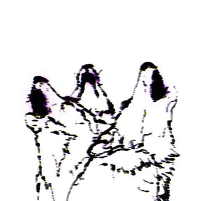 Wolves/Pray For Berlin (Vinyl)